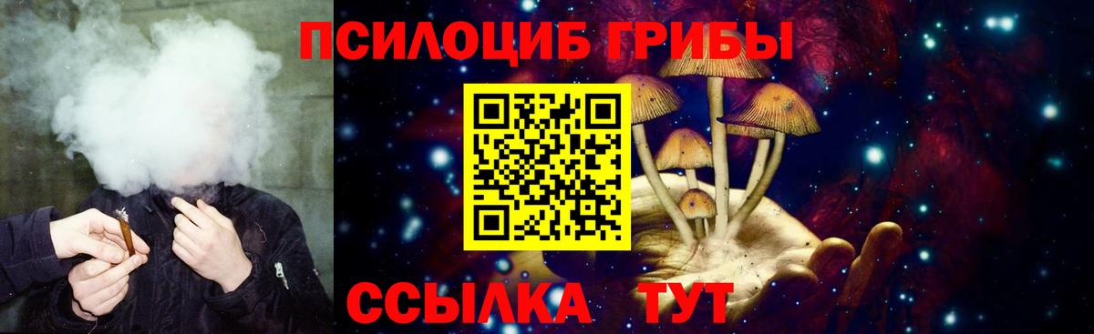 Псилоцибиновые грибы Psilocybine cubensis  Галлюциногенные грибы мицелий  Тавда  Вход с VPN 